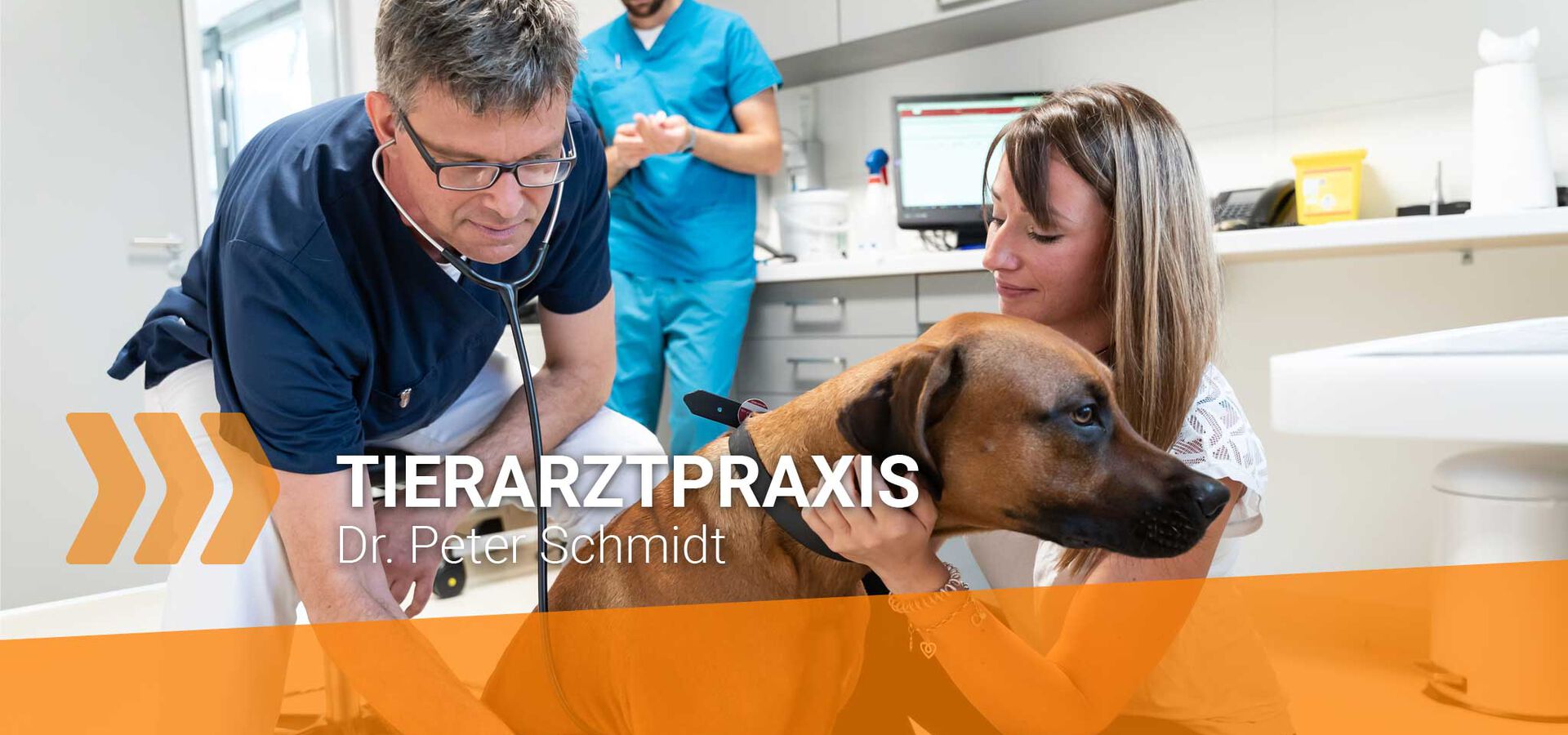 Untersuchung eines Tieres in der Praxis